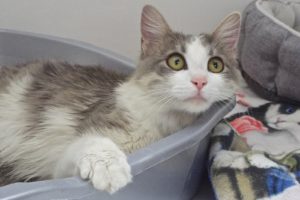 Picture of Samantha