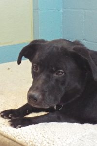 Picture of Walter