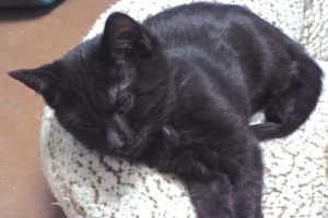Picture of Beamer