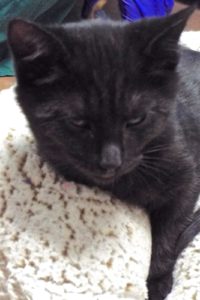 Picture of Beamer