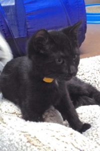 Picture of Beamer