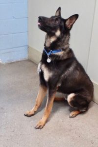Picture of Cash