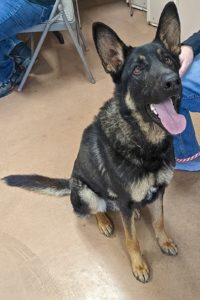 Picture of Cash