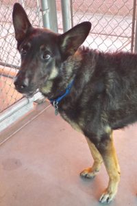 Picture of Cash