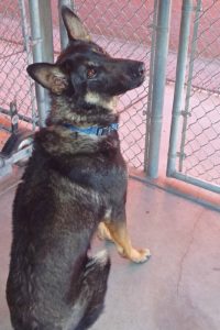 Picture of Cash