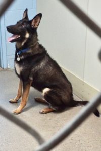 Picture of Cash