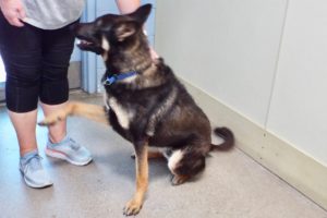 Picture of Cash