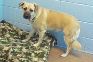 Picture of Izzy