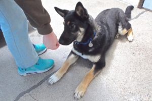 Picture of Luna
