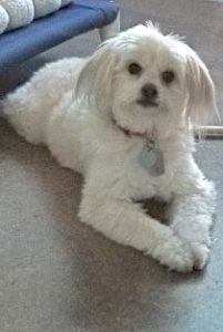 Picture of Sammy