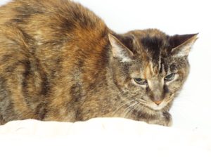 Picture of Sophie