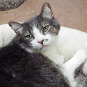 Picture of Timmy