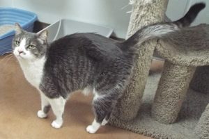 Picture of Timmy