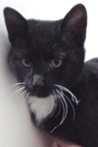 Picture of Tucker