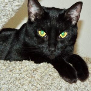 Picture of Kiko