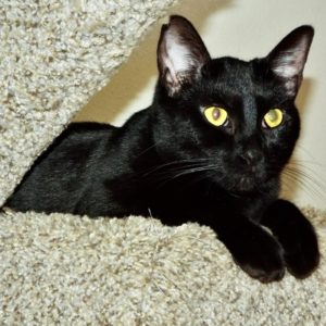 Picture of Kiko