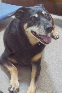 Picture of Mya