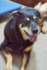 Picture of Mya