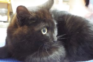 Picture of Suzanne