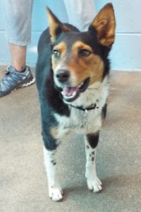 Picture of Annie