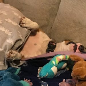 Picture of Beanie
