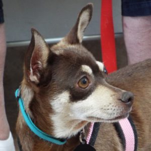 Picture of Bonnie