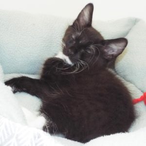 Picture of Cloud