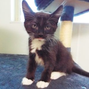 Picture of Cloud