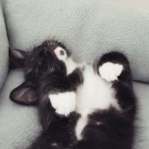 Picture of Cloud