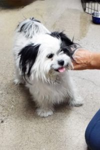 Picture of Darla