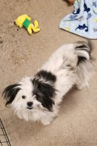 Picture of Darla
