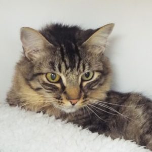 Picture of Lenny