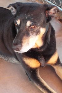 Picture of Mya