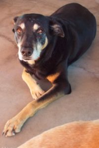 Picture of Mya