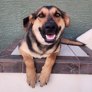 Picture of Rylee