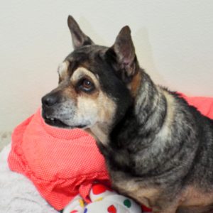 Picture of Buster Brown