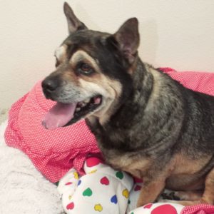 Picture of Buster Brown