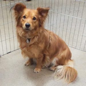 Picture of Castiel