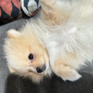 Picture of Maddie