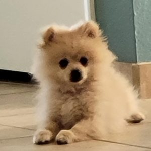 Picture of Maddie
