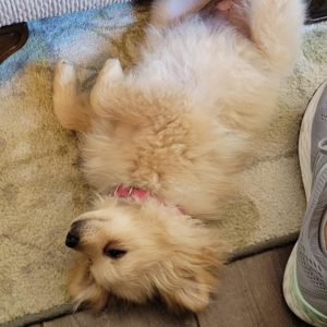 Picture of Maddie