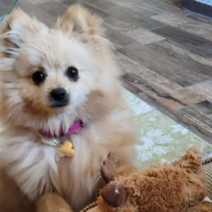 Picture of Maddie