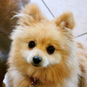 Picture of Maddie