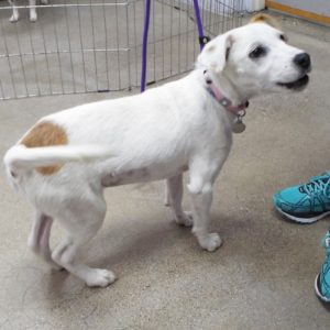Picture of Maggie