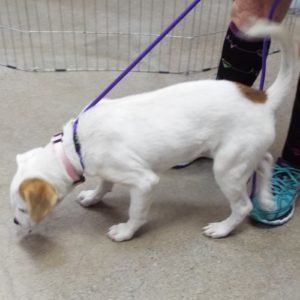 Picture of Maggie