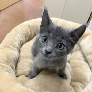 Picture of Olivia