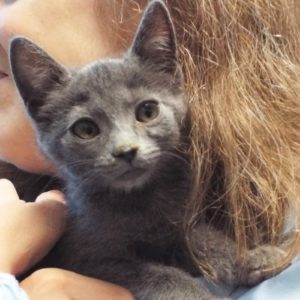 Picture of Olivia