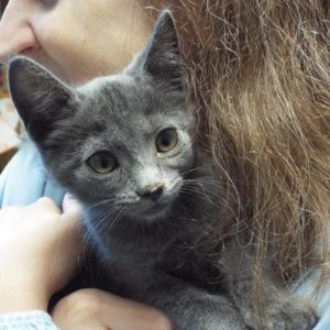 Picture of Olivia