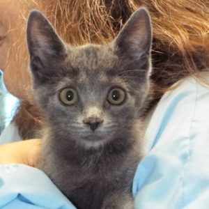 Picture of Olivia