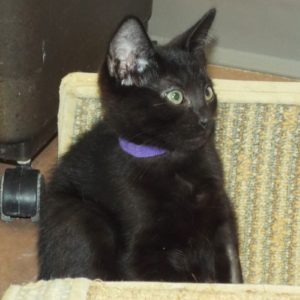 Picture of Whirl